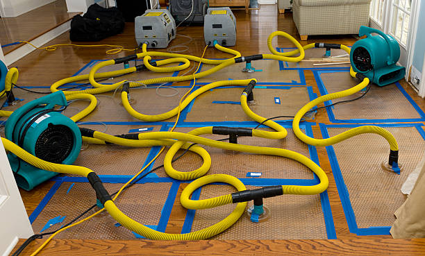 Professional Structural Drying And Dehumidification technician working in Crescent City, FL